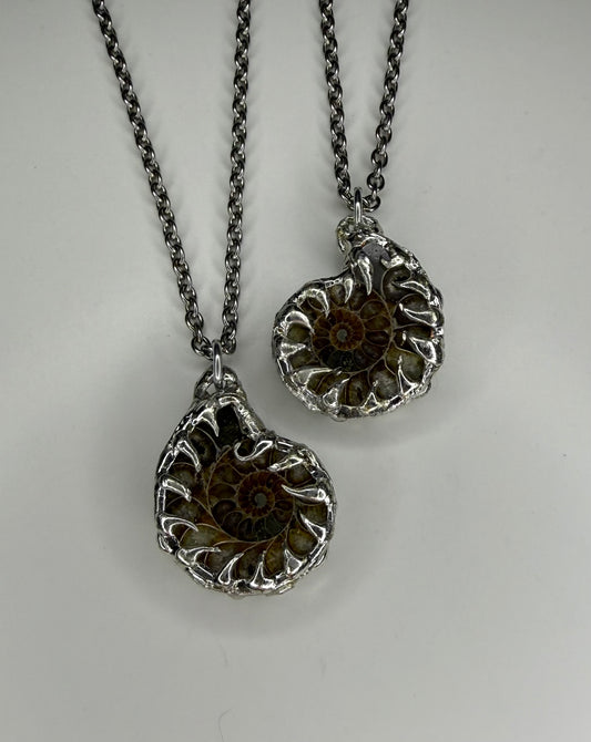 Ammonite Fossil Necklace